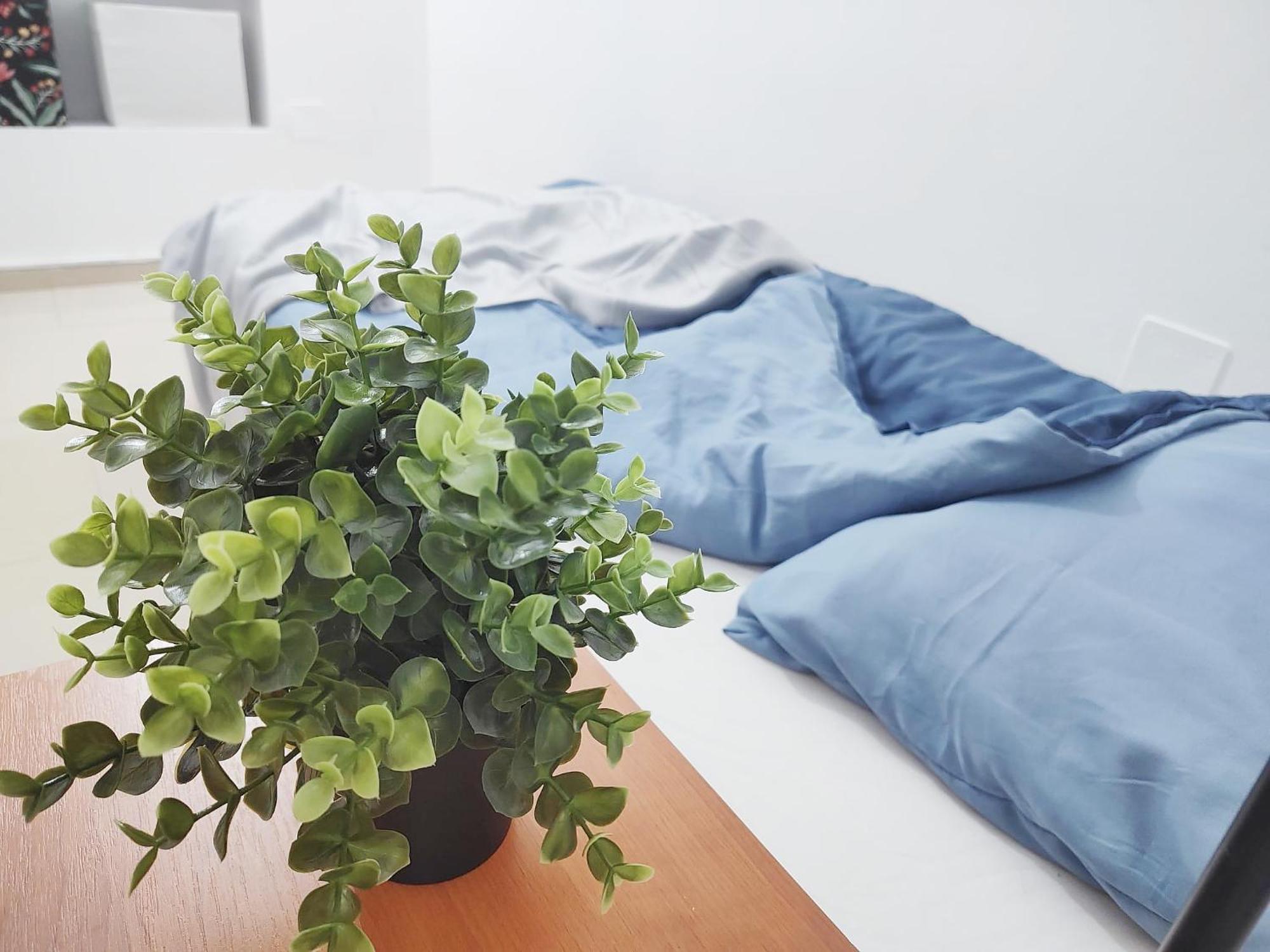 Central Retreat- Apartment Universitate Bucureşti Ngoại thất bức ảnh